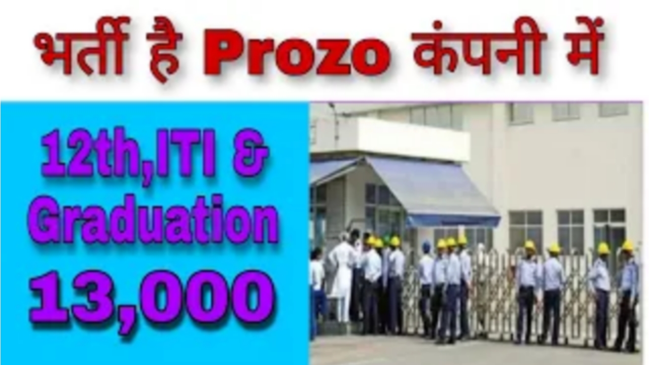 Prozo Company Job Greater Noida