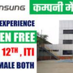 Shinsung Mobile Company Job in Greater Noida